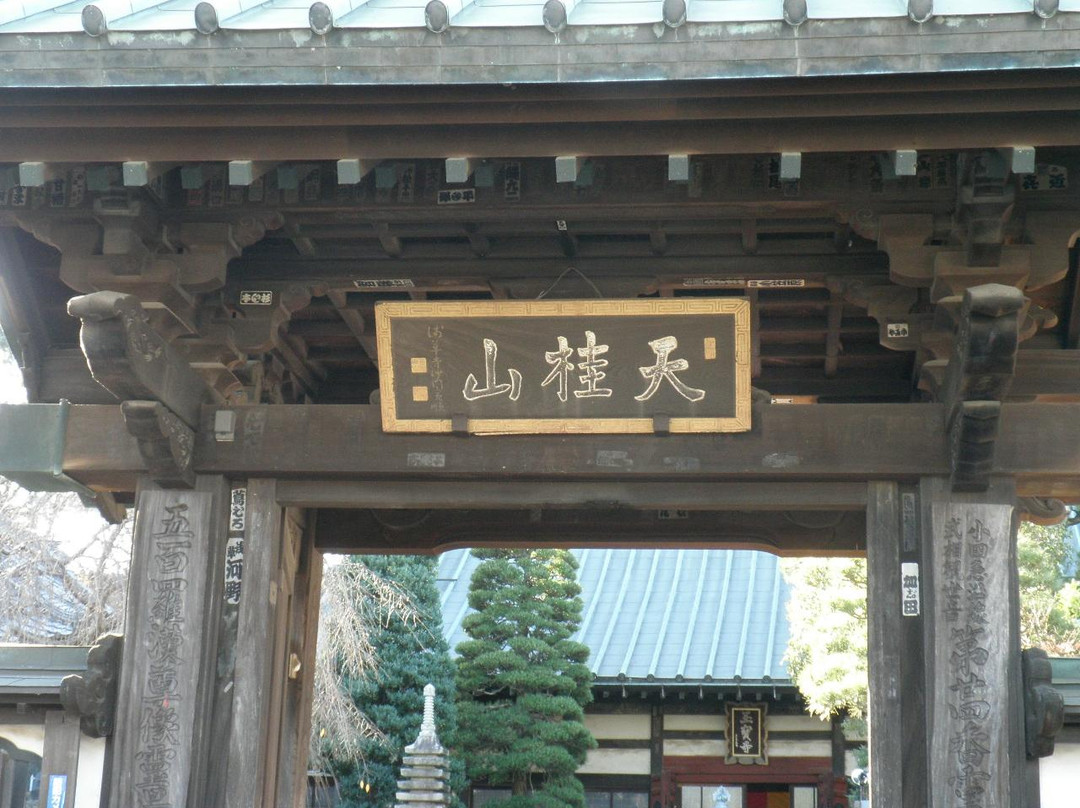 Gyokuho-ji Temple-小田原市必去景点