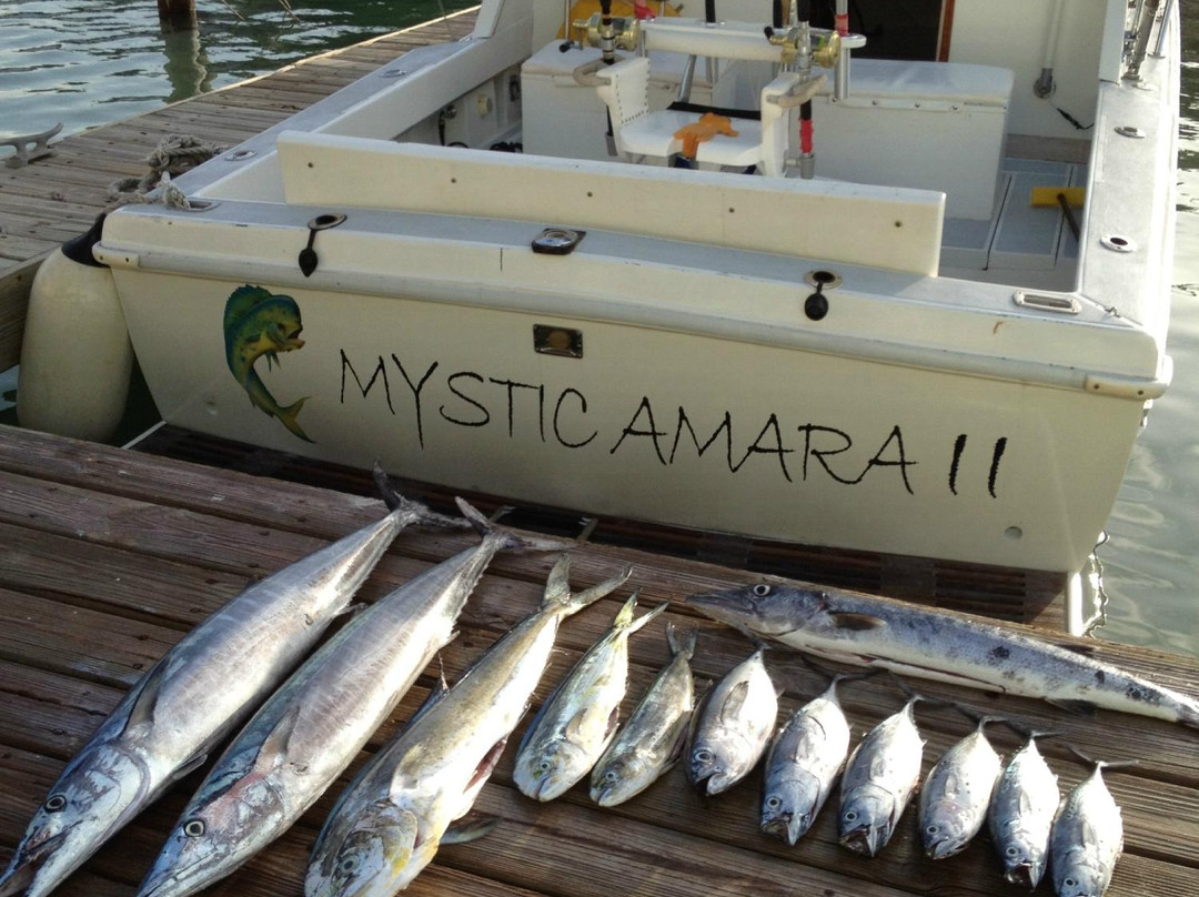Mystic Amara III - Deep Sea & Bottom Fishing Charters-Jolly Harbour必去景点