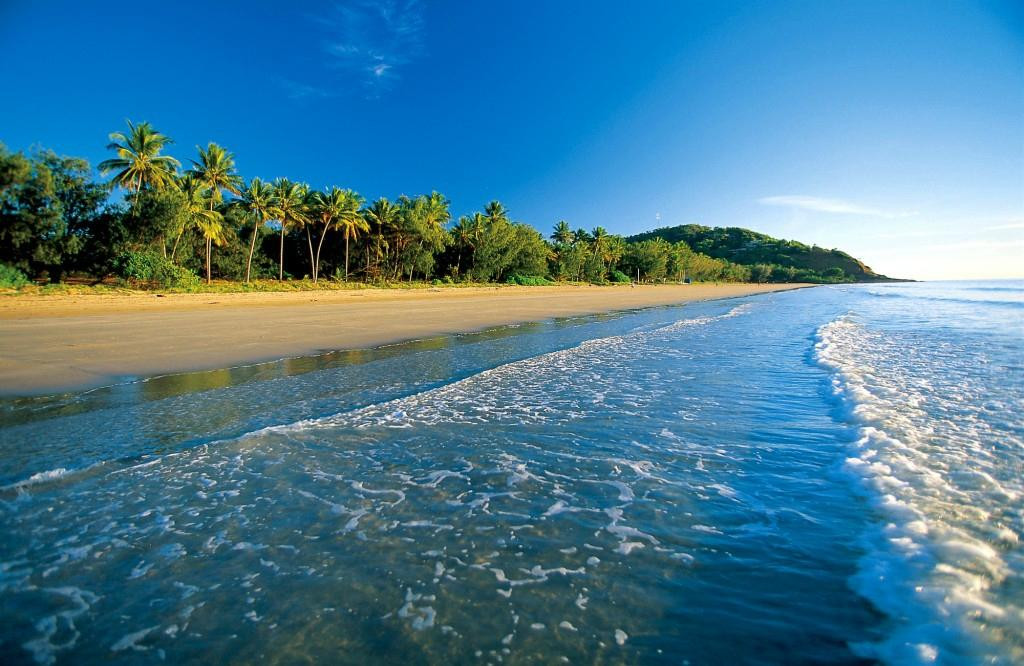 Mossman酒店住宿-TreeHouse Retreat BnB