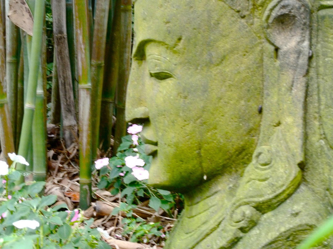Rip Van Winkle Gardens景点图片
