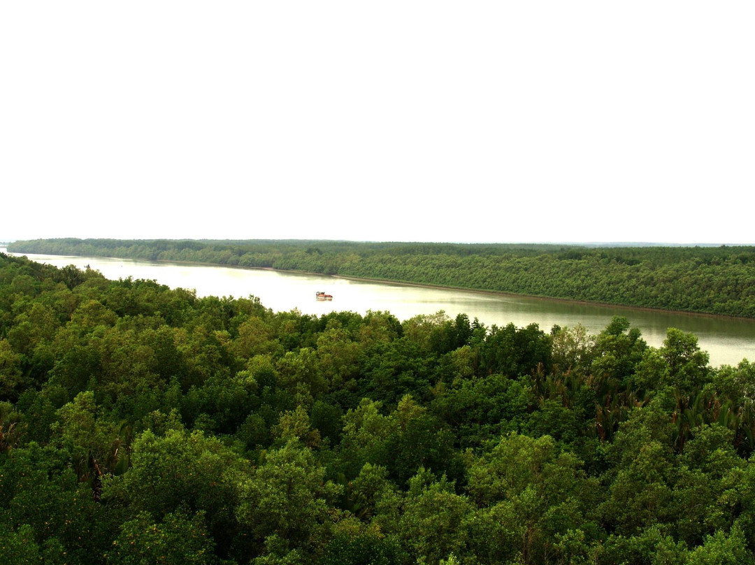 Vam Sat Salt-Marsh Forest Ecological Tourist Center-胡志明市必去景点