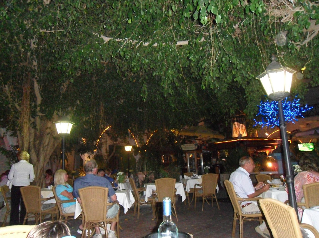 Atrion Garden Restaurant