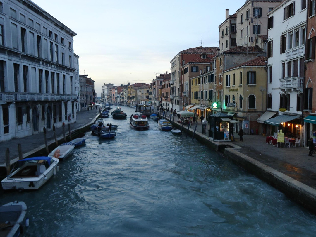 Venice Day Trips-帕多瓦必去景点