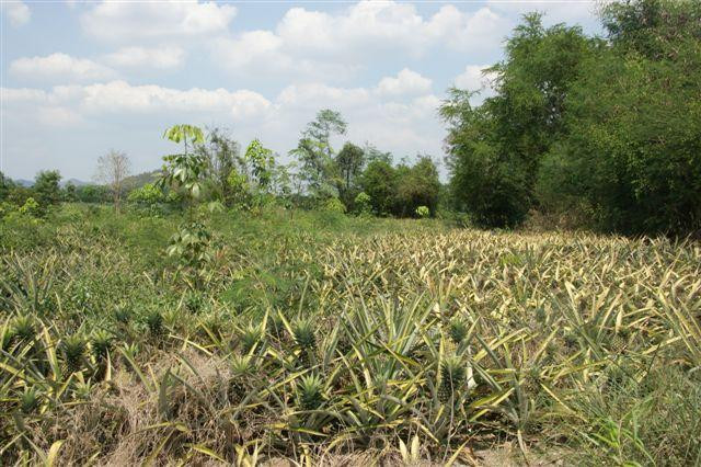 华欣自行车之旅-华欣必去景点