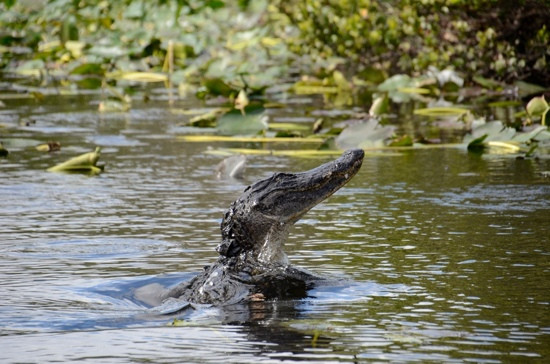 Loop Road-奥乔皮必去景点