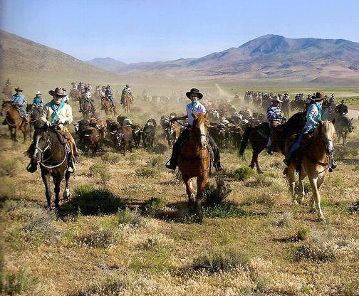 Reno Rodeo Cattle Drive景点图片