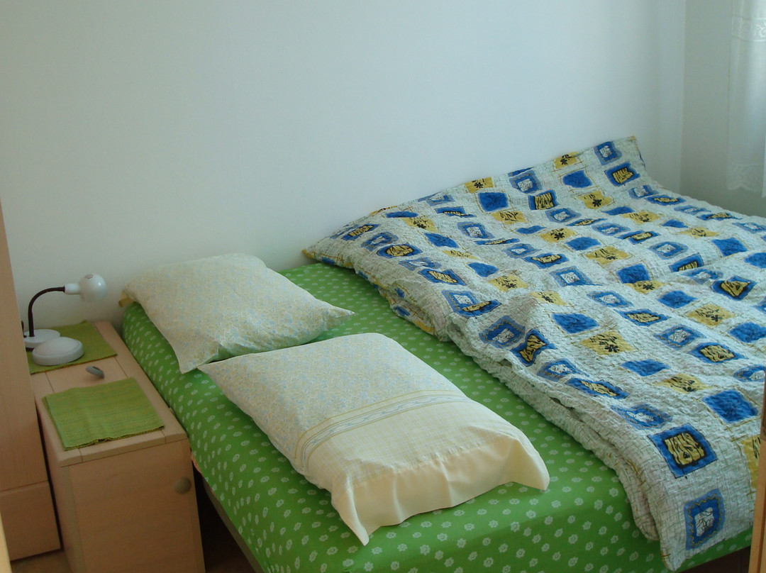 Apartments Bovec Dana主图