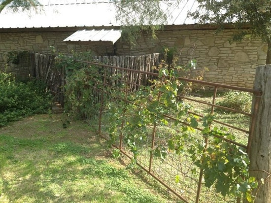 Barking Rocks Winery-格兰伯里必去景点