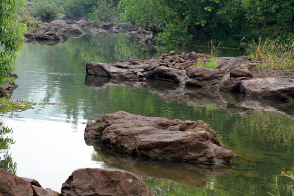 Harithavanam Farm House主图