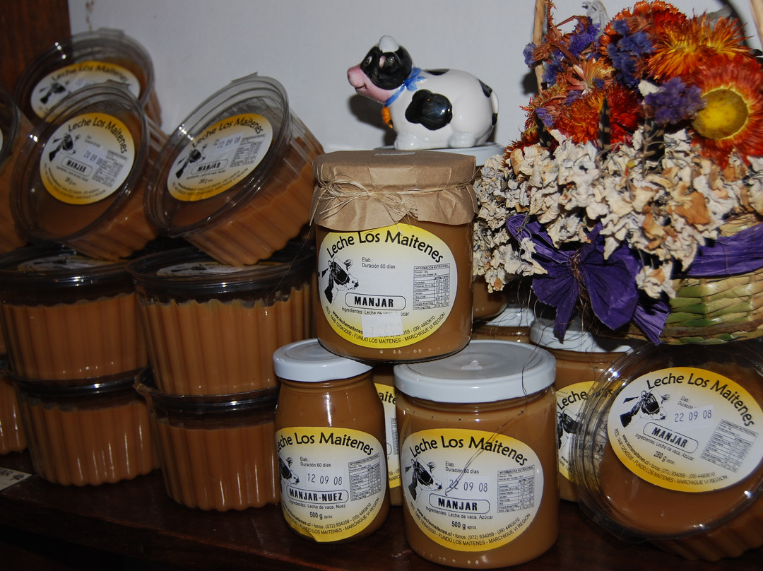 Lecheria Los Maitenes-Marchihue必去景点