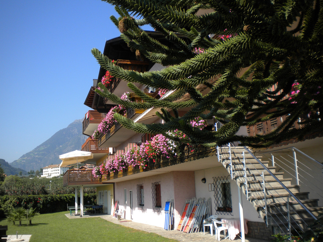 Hotel Elisabeth主图