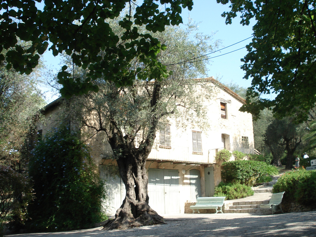 Musee Renoir/Les Collettes景点图片