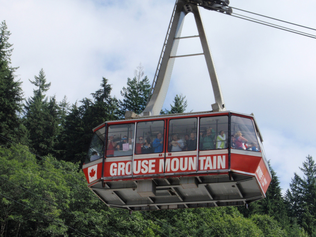 Grouse Mountain Skyride景点图片