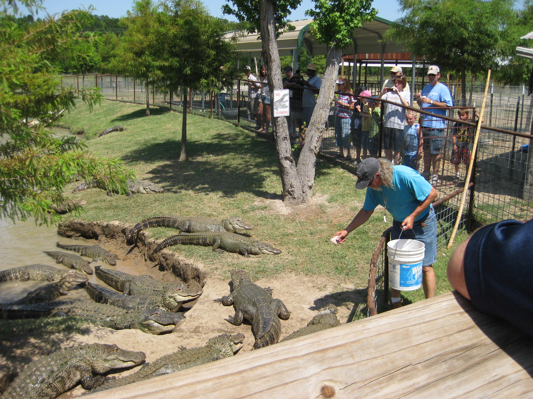 East Texas Gators and Wildlife Park-Grand Saline必去景点
