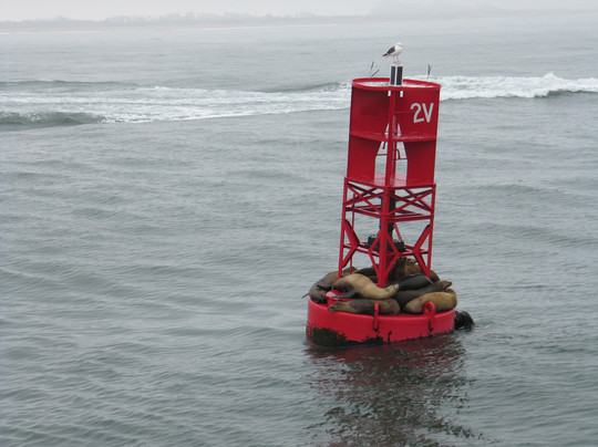 Santa Cruz Island-峡岛国家公园必去景点