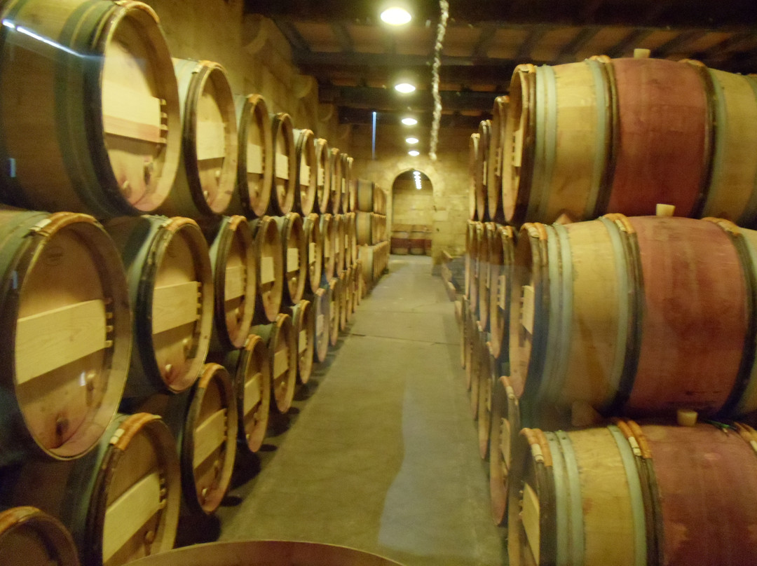 Bordeaux Wine Travel-波尔多必去景点