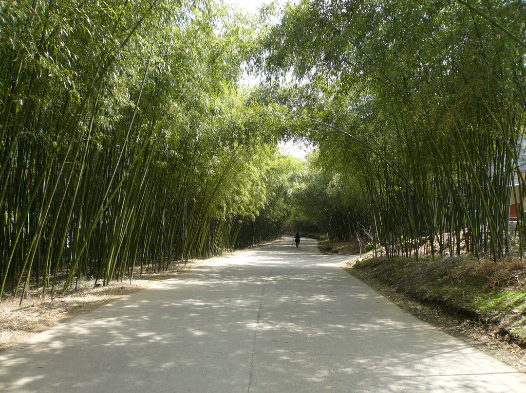 重渡沟-栾川县必去景点