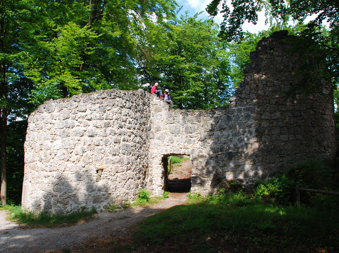 Burgruine Leienfels景点图片