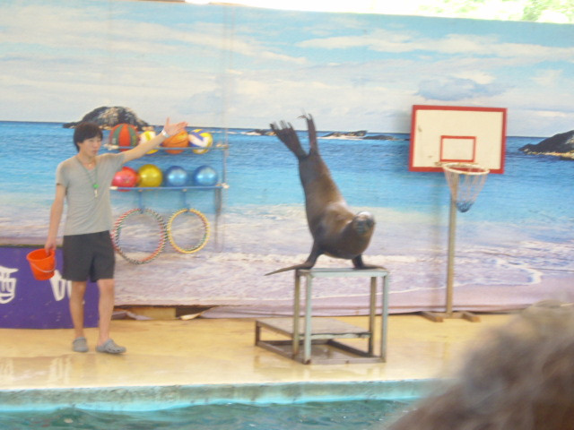 厦门海底世界-厦门市必去景点