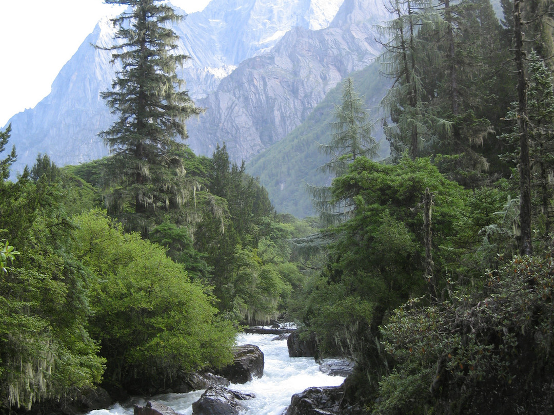 四姑娘山保护区景点图片