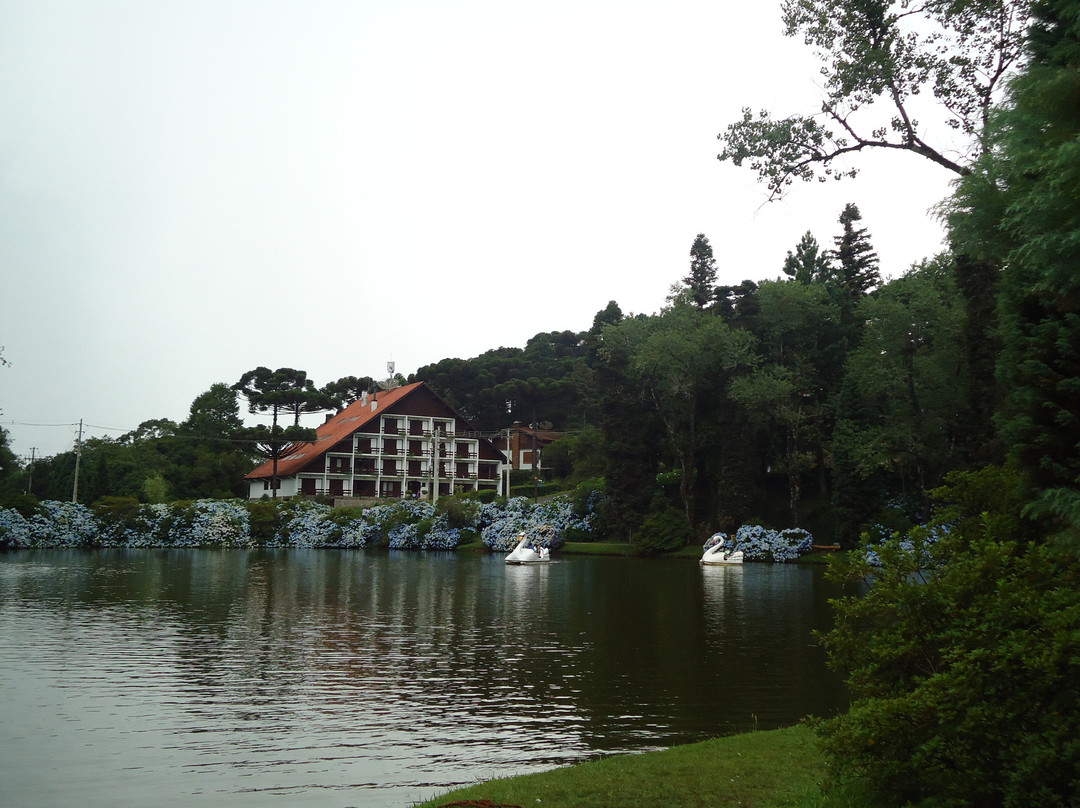 Lago Negro-格拉玛多必去景点