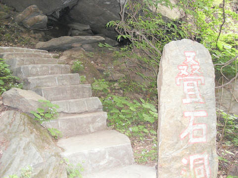 楼观台国家森林公园-周至县必去景点