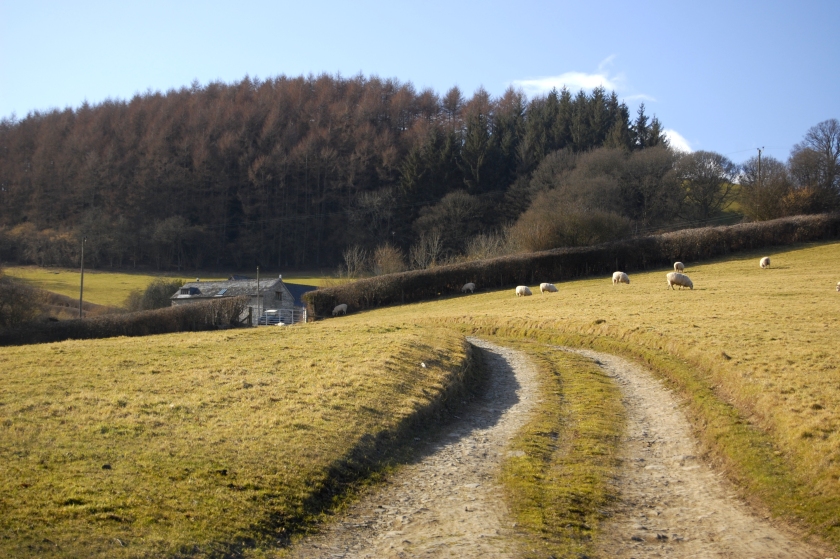 Hafod-Y-Garreg-酒店景观