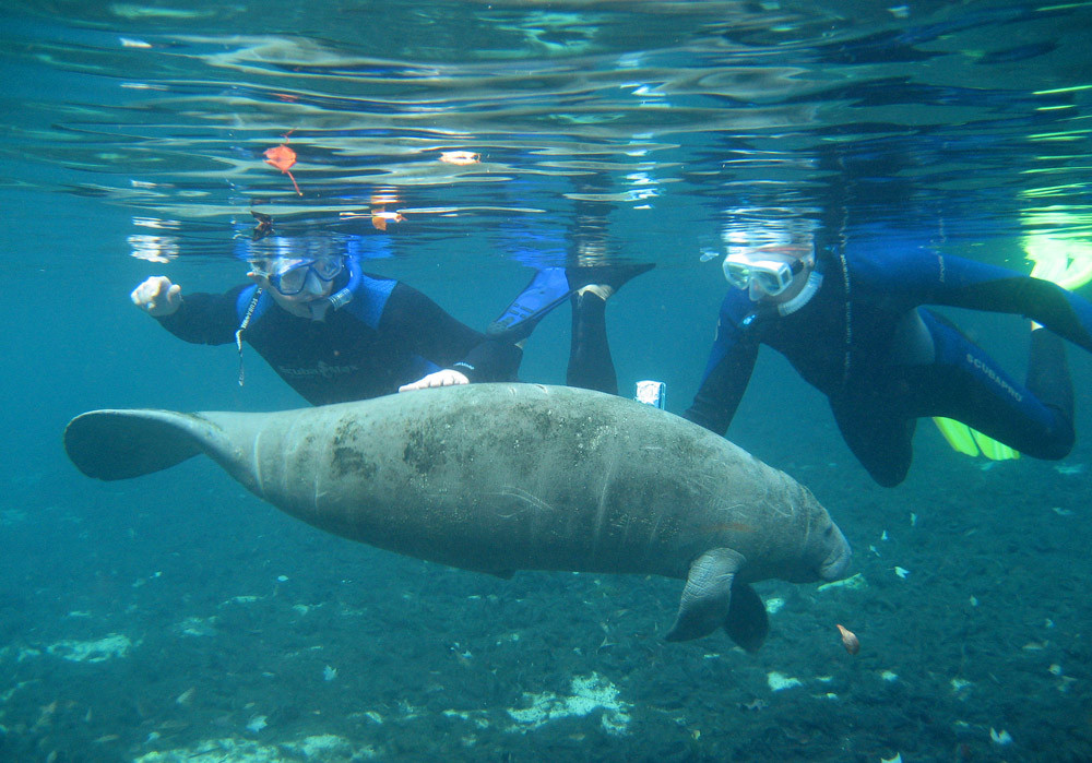 River Ventures-克里斯特尔里弗必去景点