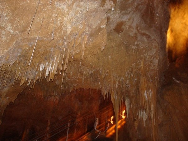 Marakoopa Cave-茉莉溪必去景点