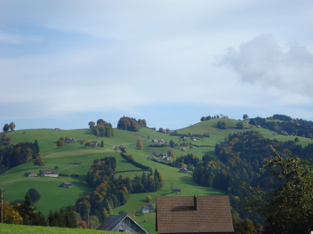 St. Peterzell旅游攻略图片