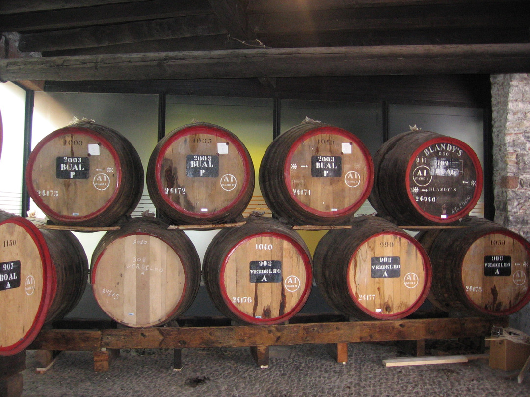 Blandy's Wine Lodge-沙尔必去景点