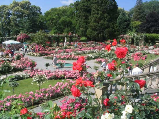 Isle of Mainau-康士坦茨必去景点