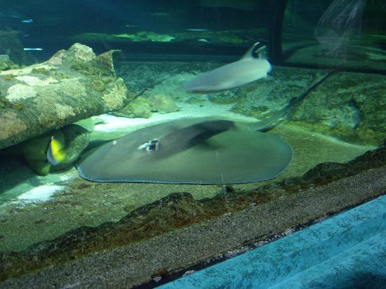 海底世界-杜梦湾必去景点