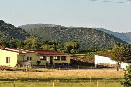 Silanus餐馆和美食-Agriturismo Santa Sarbana