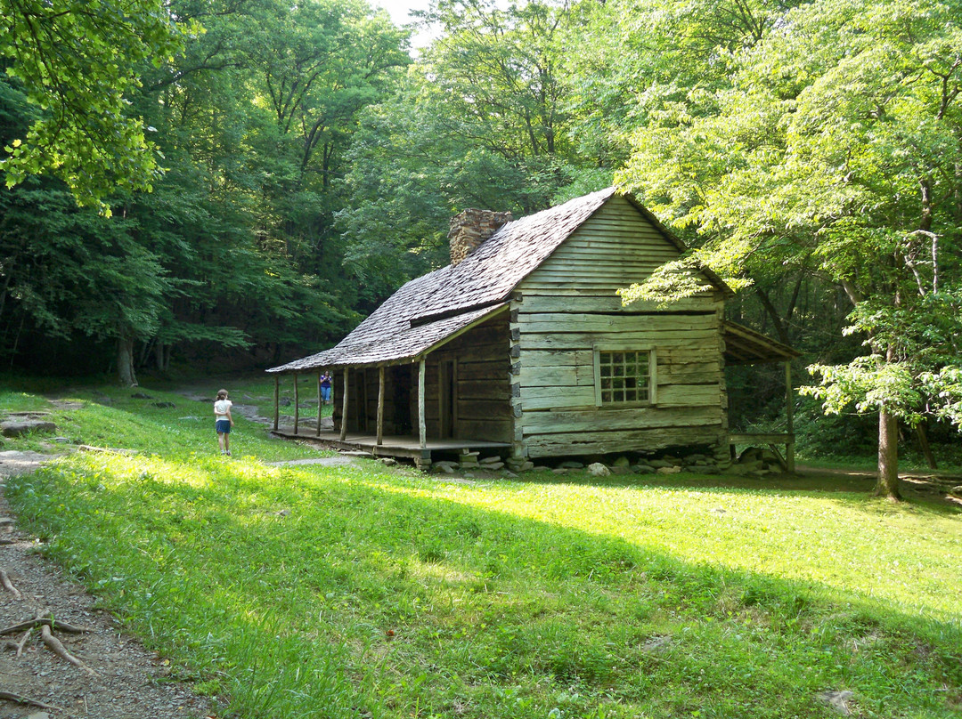 Roaring Fork Motor Nature Trail景点图片