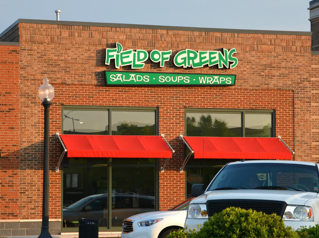 Field of Greens
