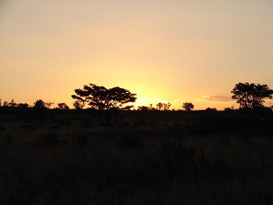 null-Welgevonden Game Reserve