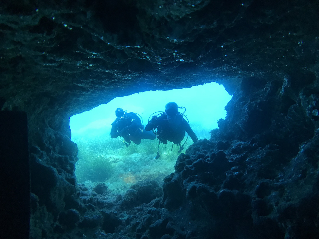 Aquanorth Diving Centre-南希尔兹必去景点
