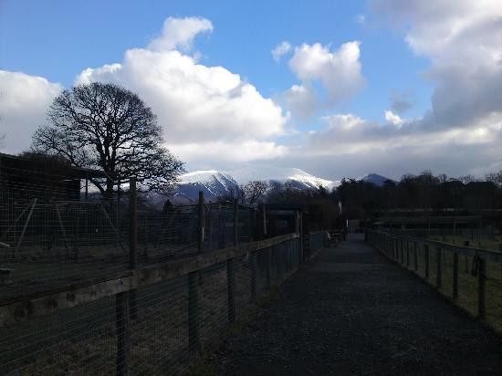 The Lake District Wildlife Park景点图片