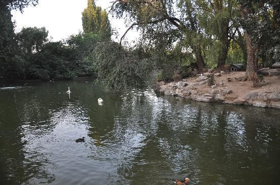 北京动物园-北京市必去景点