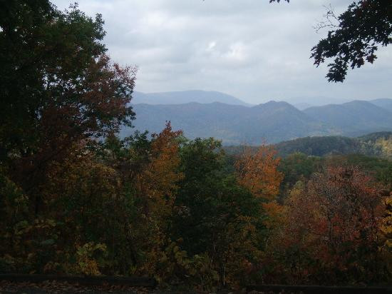 Roaring Fork Motor Nature Trail景点图片
