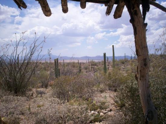 亚利桑那索诺拉沙漠博物馆-图森必去景点