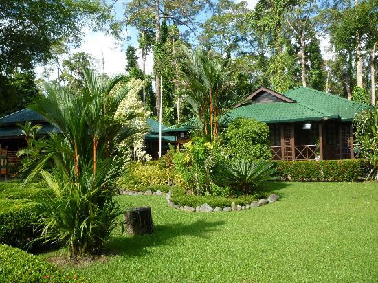 西必洛猿人保护区-西必洛必去景点