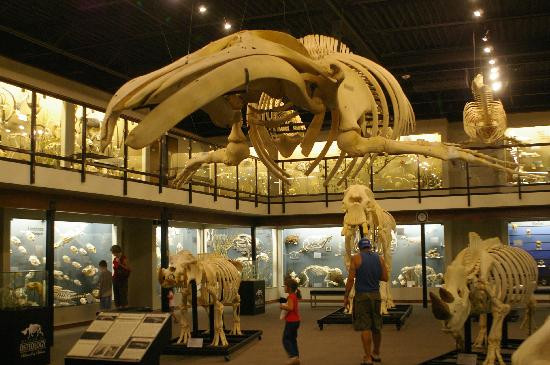 骨学博物馆-俄克拉何马城必去景点