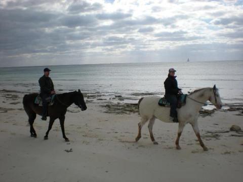 Pinetree Stables-弗里波特必去景点