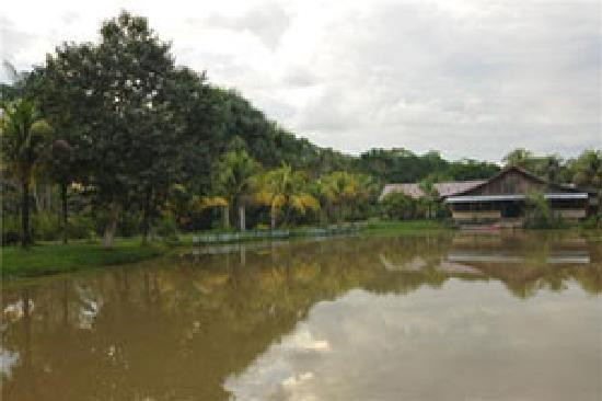 Amazon Amazing Tours-玛瑙斯必去景点
