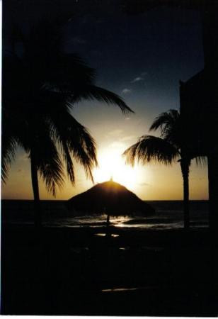 Eagle Beach-棕榈/鹰海滩必去景点