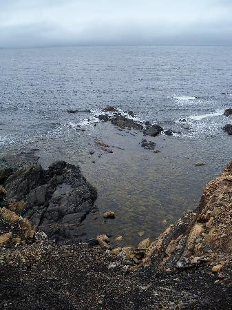 Lobster Cove Head Lighthouse景点图片