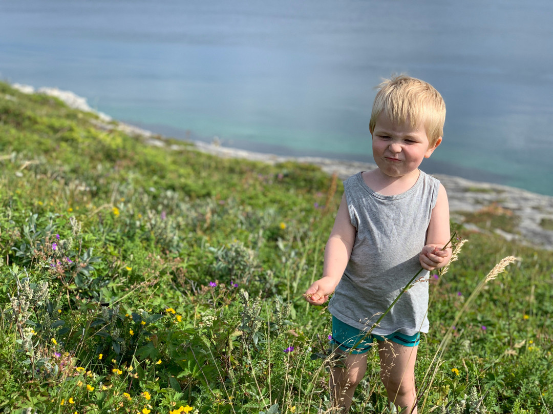 Krigsminner Evenestangen-Evenes必去景点