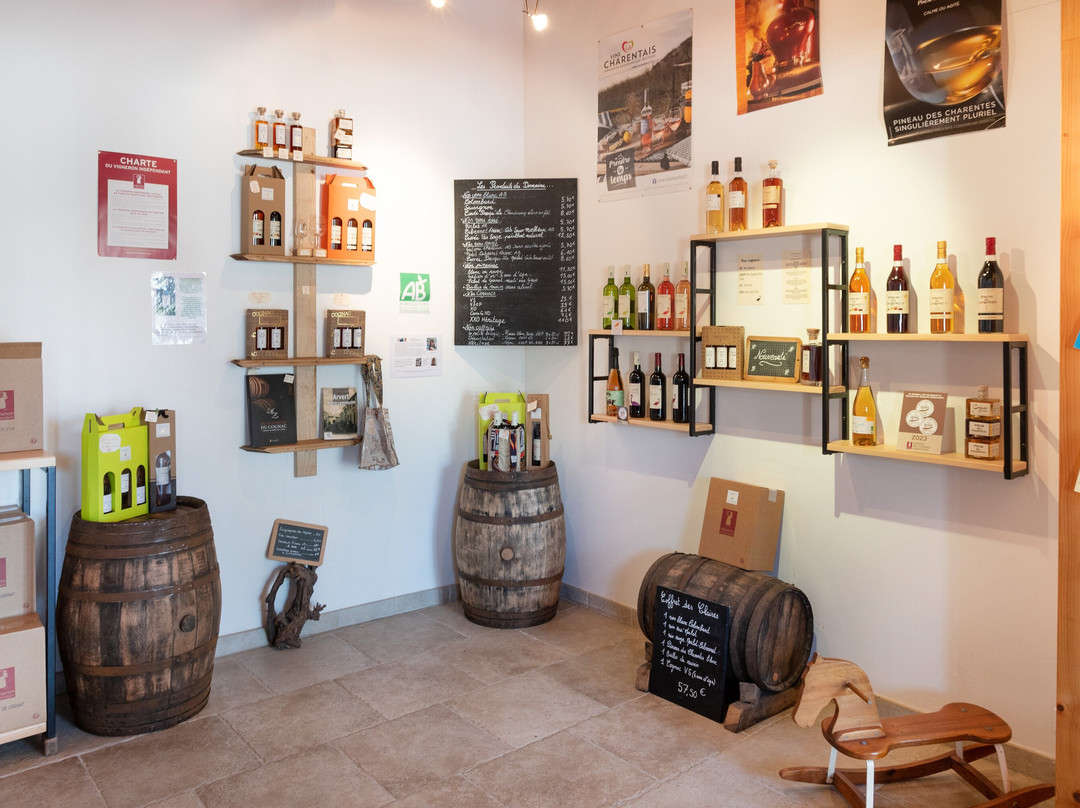 Domaine des Claires景点图片